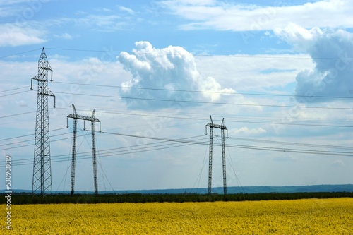 landscape of cultivated fields and electric lines photo