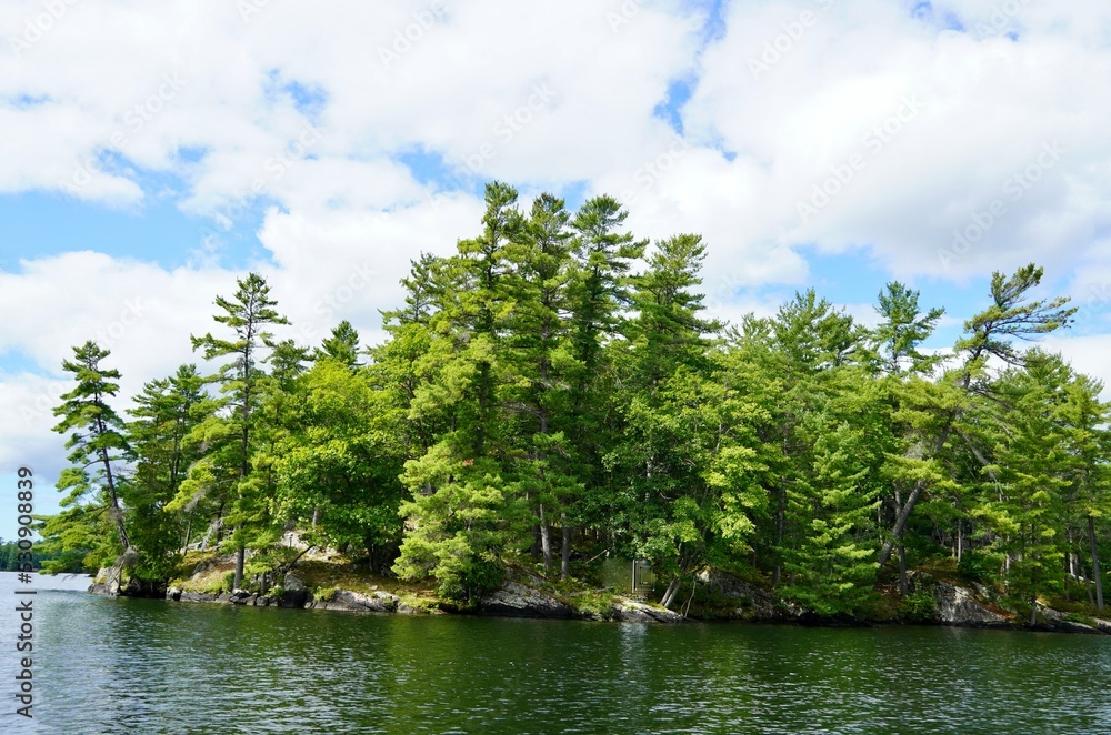 Pine Forests lining the shoreline of a Muskoka Lake, Ontario Canada