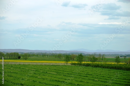 a landscape of cultivated fields © oljasimovic