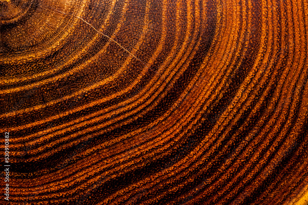 Acacia wooden texture natural background Acacia wooden texture natural background