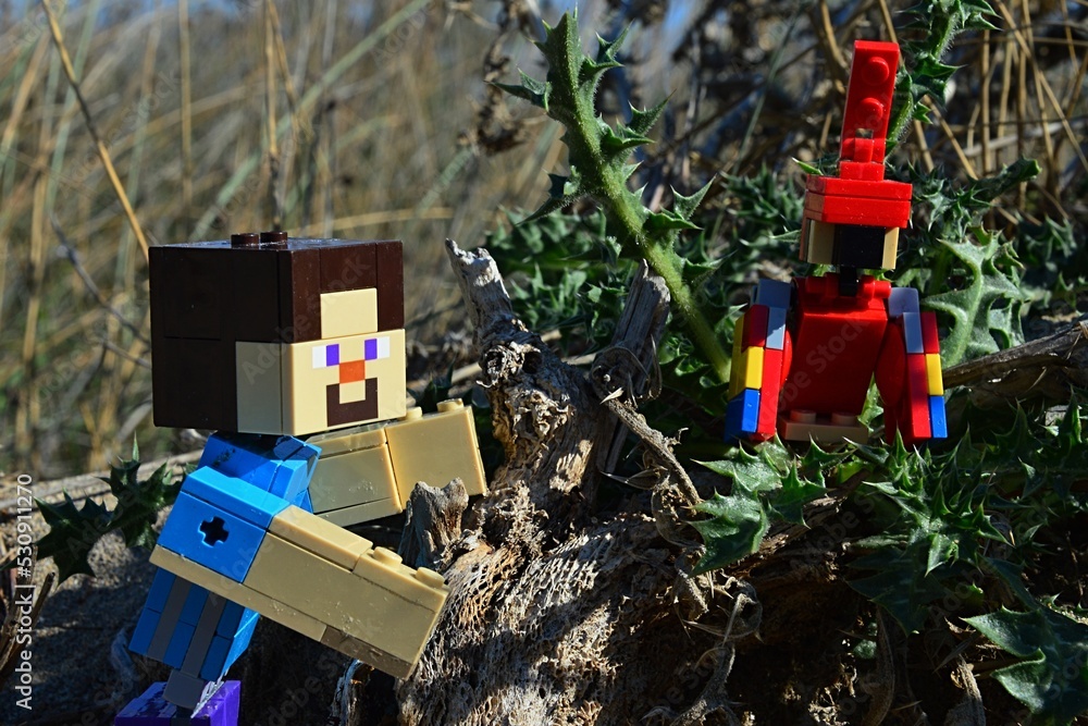 Fototapeta premium LEGO Minecraft large figure of Steve rescuing his red Minecraft parrot siting on spiky thistle plant. Summer daylight sunshine, blue skies in background.