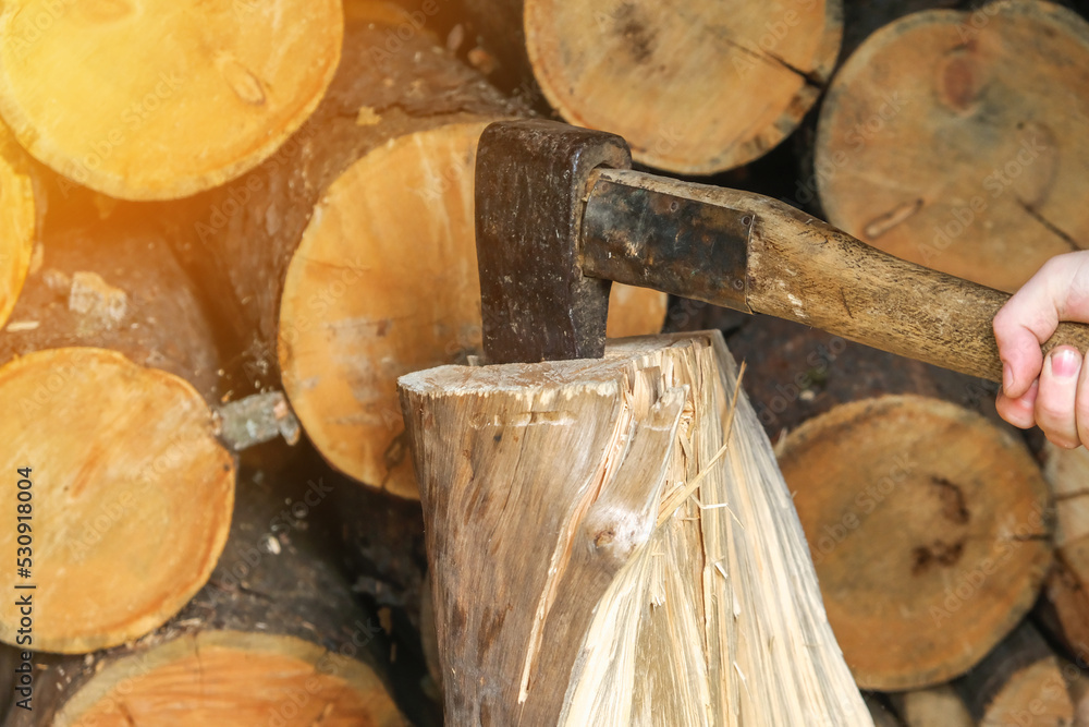 A man is chopping logs with an axe on chopping block. Harvesting of firewood stocks for heating. An alternative source of thermal energy instead of natural gas. A man is chopping logs with an axe on chopping block. Harvesting of firewood stocks for heating. An alternative source of thermal energy instead of natural gas.