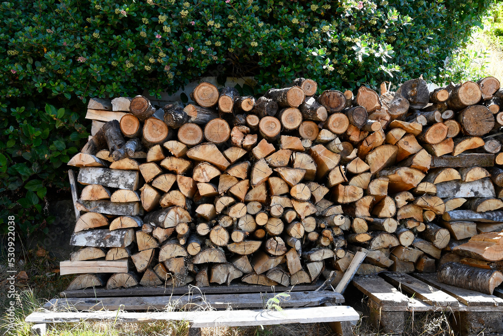 An image of neatly cut and stacked firewood resting on wooden pallets. An image of neatly cut and stacked firewood resting on wooden pallets.