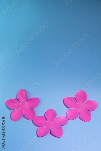 Pétalos de flor en fondo celeste, concepto de tarjetas florales, invitaciones diseño editable.