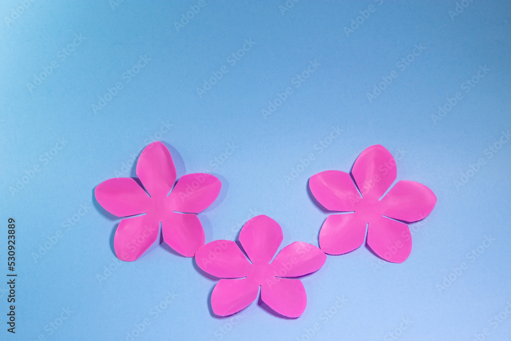 Pétalos de flor en fondo celeste, concepto de tarjetas florales, invitaciones diseño editable. Pétalos de flor en fondo celeste, concepto de tarjetas florales, invitaciones diseño editable.