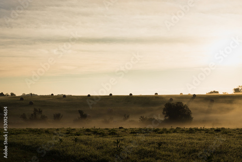 Open field with round hay bales and sun streaming through fog

 photo