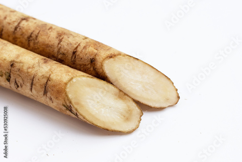 Burdock Root (Gobo) on white background. photo