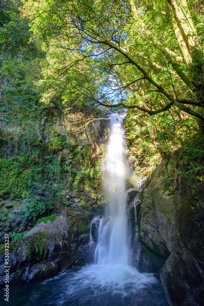 waterfall in the forest