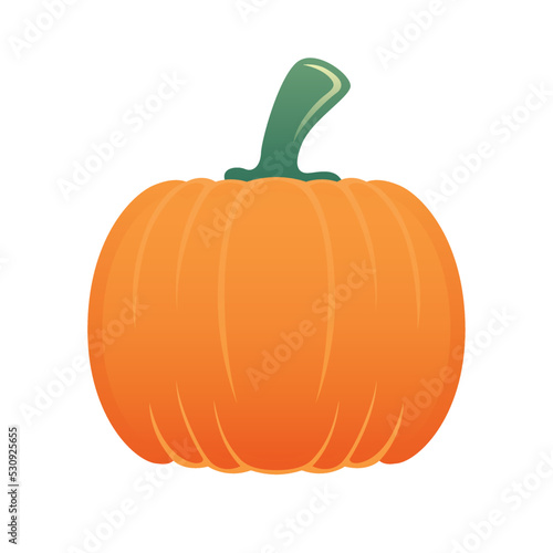 Isolated colored autumn pumpkin icon Vector