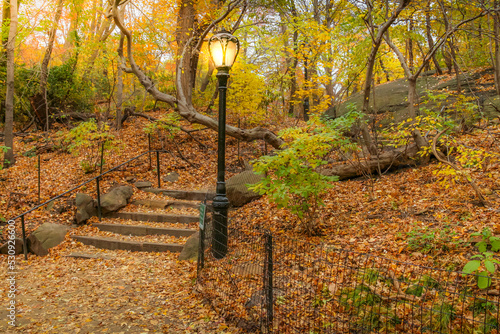 Central Park in New York City at golden autumn, United States