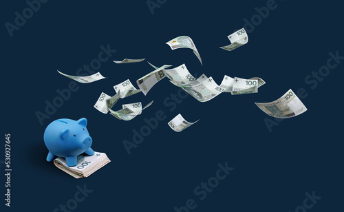 PLN 100 Polish zloty banknotes. Money floating above the piggy bank. Illustration. Top view. photo