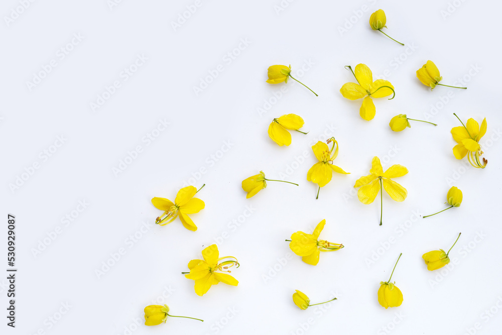 Cassia fistula flower on white background. Cassia fistula flower on white background.