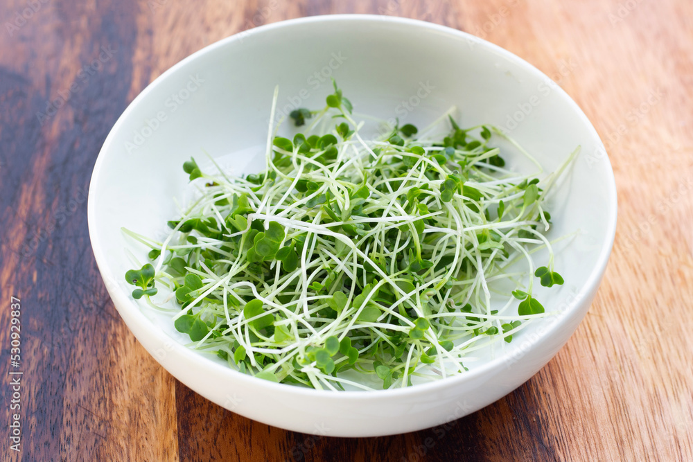 Organic kale sprouts. Healthiest vegetables concept Organic kale sprouts. Healthiest vegetables concept