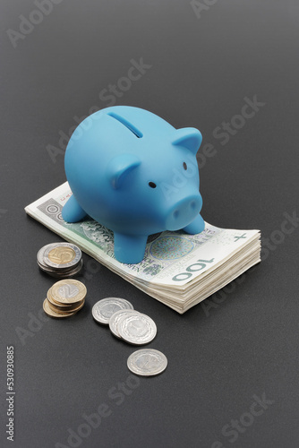 PLN coins and banknotes and pigibank for saving money. Polish currency.