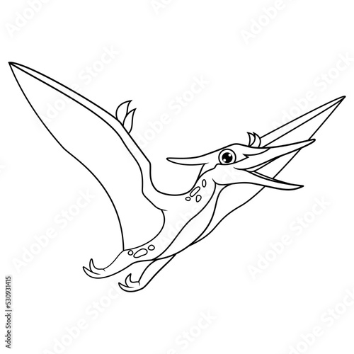 hand drawn of Pteranodon line art   