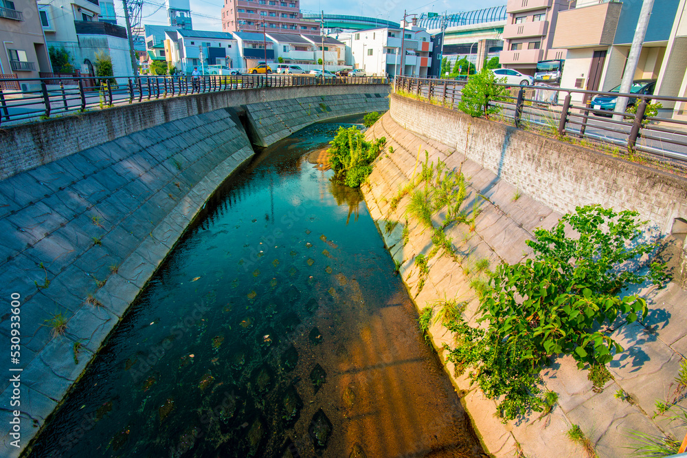 Foto de 河原の風景 do Stock Adobe Stock