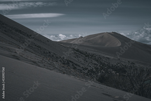 Fototapeta Naklejka Na Ścianę i Meble -  Dark Dunes