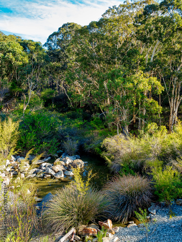 Dwellingup is a small timber town situated on top of an escarpment. It is surrounded by a state forest known for its extensive stands of jarrah. photo