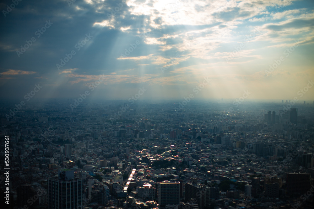 大都市と天使のはしご