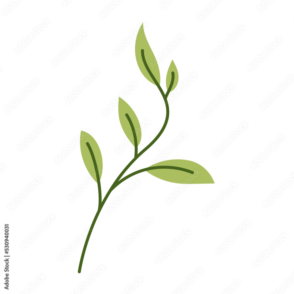 Leaf Green Flat Leaf Green Flat