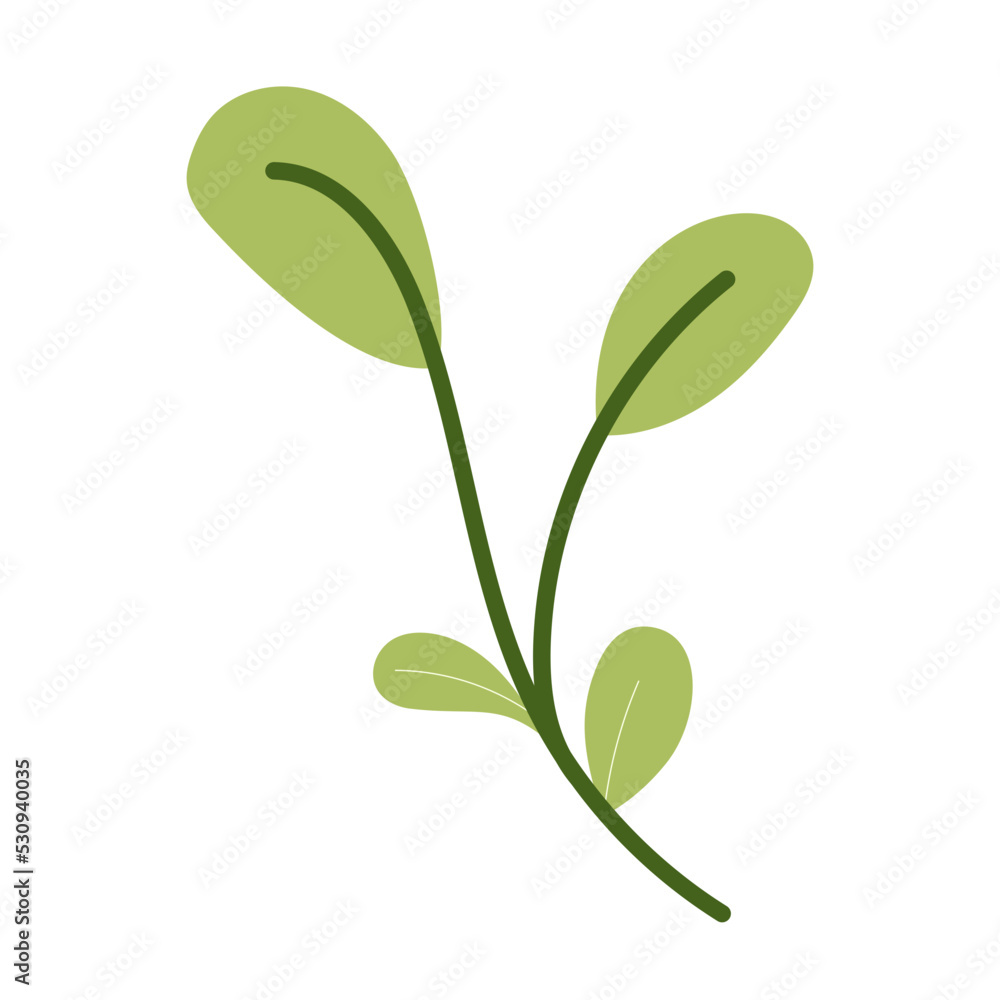Fototapeta premium simple leaf