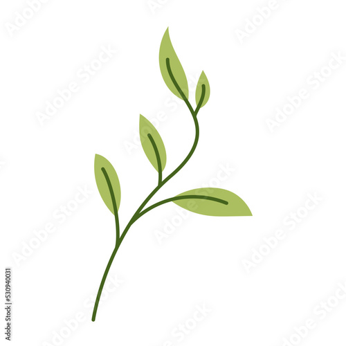 Leaf Green Flat