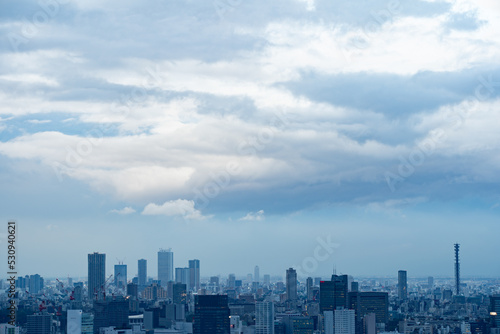 東京・俯瞰 © maru54