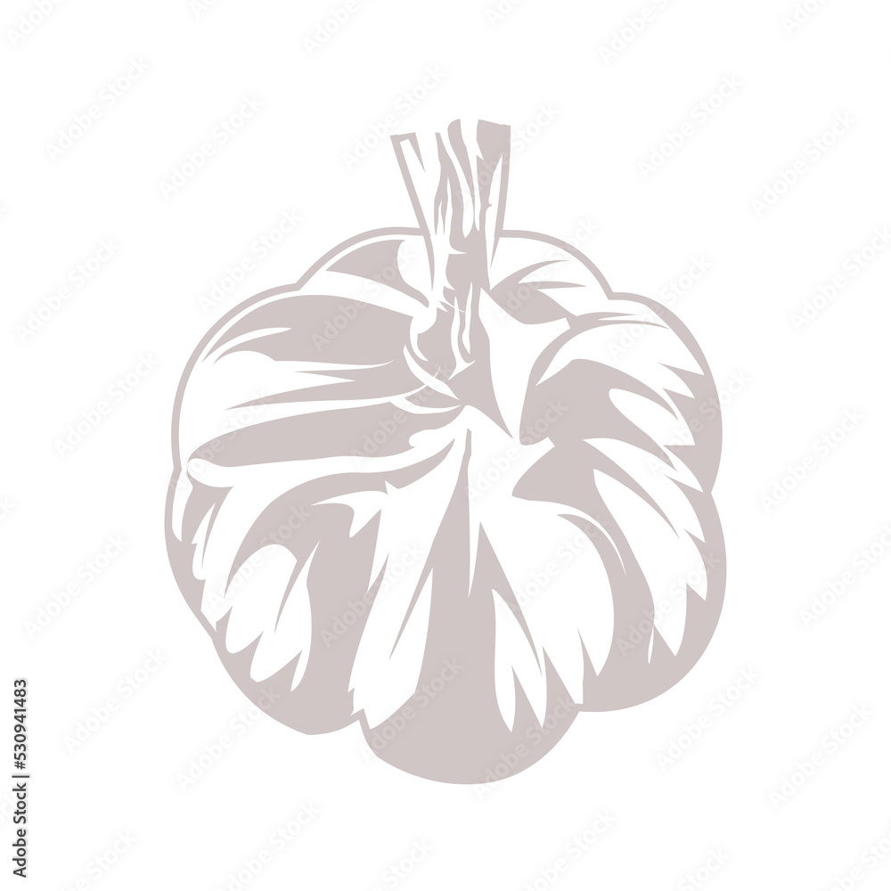 A Garlic illustration shown from above in an angle A Garlic illustration shown from above in an angle