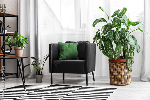 Modern armchair and housepl...