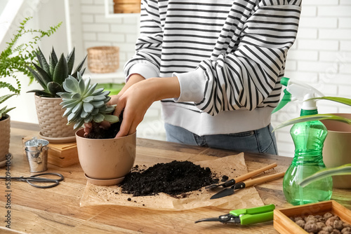 Fotografia Woman transplanting succulent plant at home