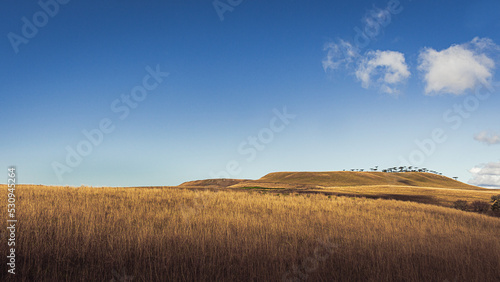 Paisagem em Rio Grande do Sul photo