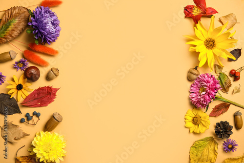 Beautiful composition with flowers and natural forest decor on color background