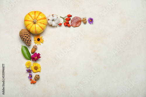 Beautiful autumn composition with natural forest decor, flowers and pumpkin on light background