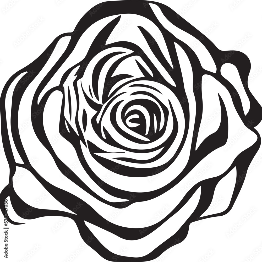 Beautiful flower on white background Beautiful flower on white background