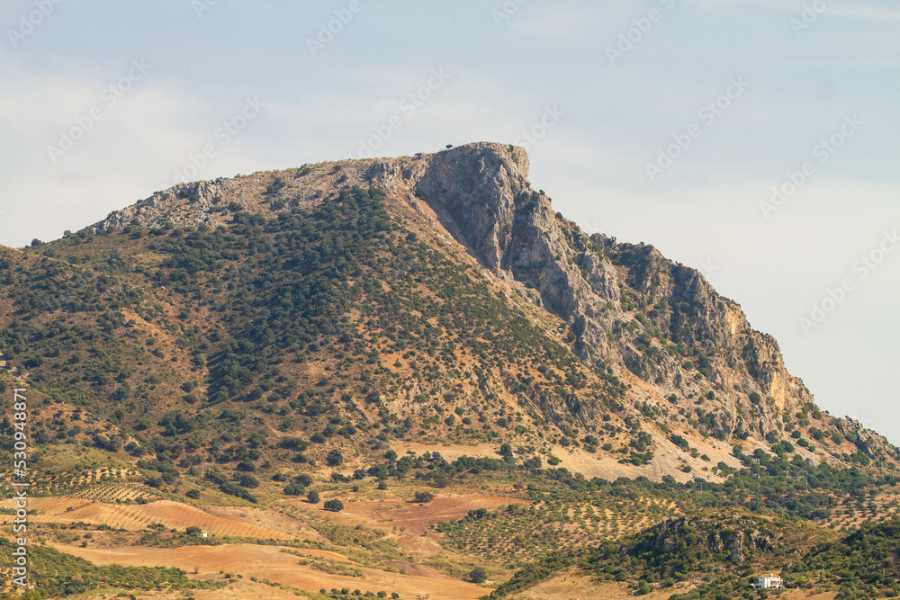 Green landscape of the Andalusia countryside, Spain with hills and generic vegetation