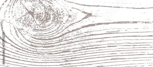 One-color vector background with grunge texture of knotted wood