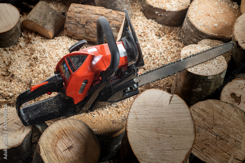 Modern chain saw and  firewood