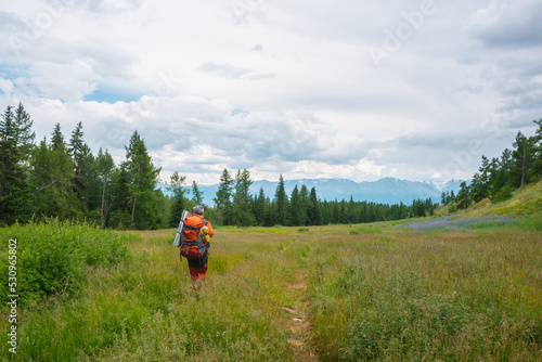 Traveling man in red with big backpack on way to high mountain range in low clouds. Backpacker walks through forest to large mountains under cloudy sky. Dramatic landscape with tourist in mountains.