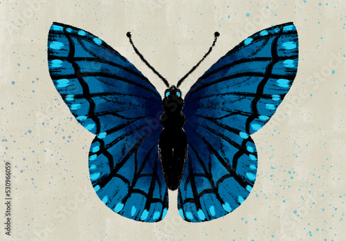 Blue Black Butterfly Digital Illustration. Menelaus blue morpho species. Watercolor splatter and Texture background. Iridescent colors and Winter theme graphic resource. Wings spotted blue design art photo
