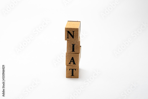 単語　インドネシア語　言語　NIAT photo