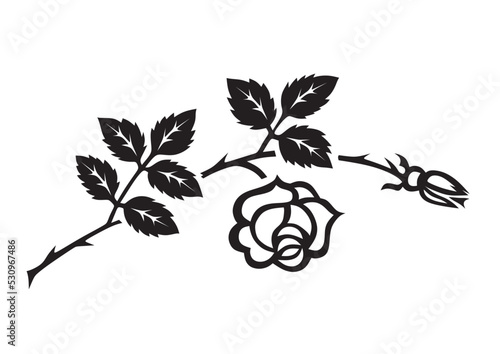 rose2160922a