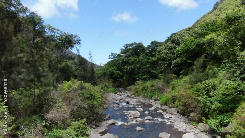 Low flying aerial shot tracking the fast moving river stream of Iao Valley, Maui. Low flying aerial shot tracking the fast moving river stream of Iao Valley, Maui.