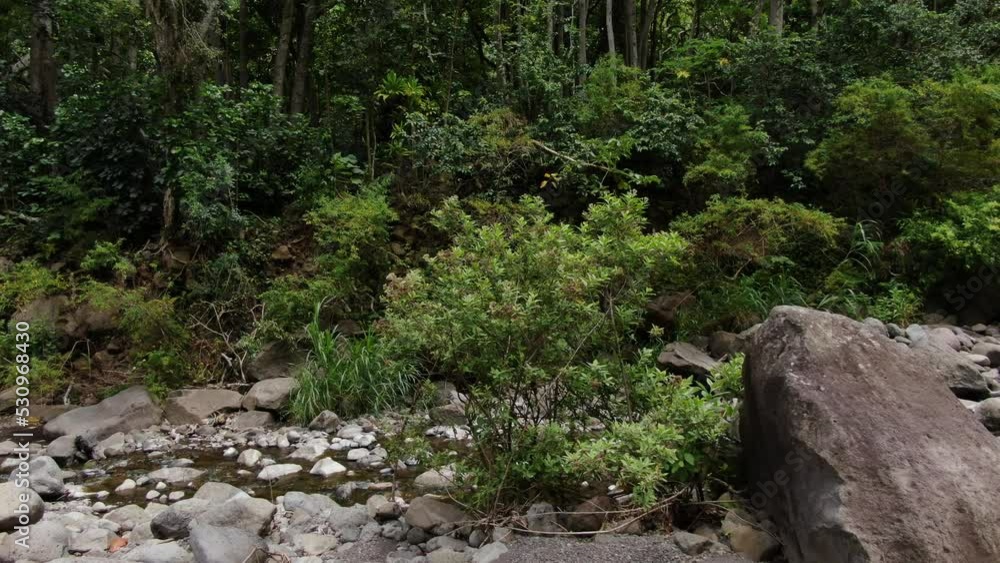 Iao Valley river bed wall, ground view with camera slowly tracking the movement of the water. Iao Valley river bed wall, ground view with camera slowly tracking the movement of the water.