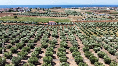 Nea Flogita - Chalkidiki von oben