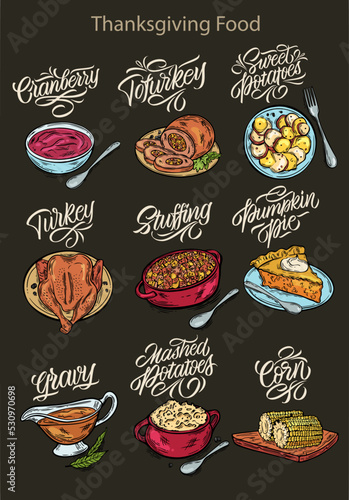Vector illustration. Thanksgiving food. Illustrations for menus in cafes, restaurants, stickers. Handwritten lettering.