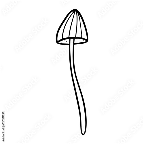 Poisonous mushrooms , toadstool, inedible toxic mushroom, fly agaric, white toadstool. Isolated hand drawn doodle illustration on a white background. Potion ingredient, Magic, Halloween