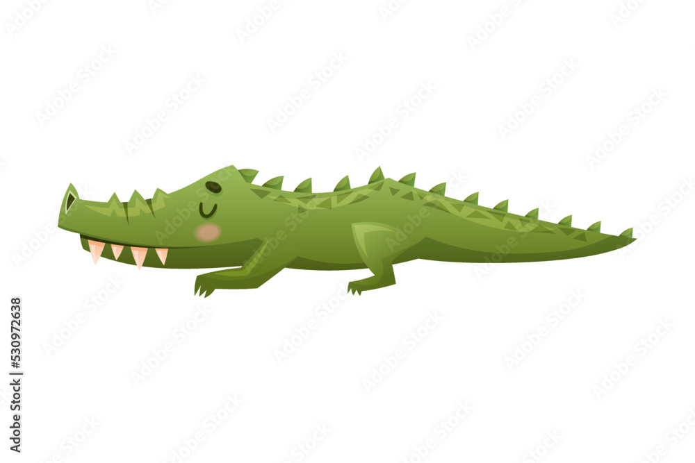 Fototapeta premium Cute Green Crocodile with Sharp Teeth as Australian Animal and Endemic Fauna Vector Illustration