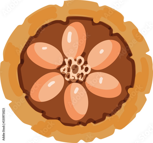 Top view cacao fruit icon cartoon vector. Cocoa bean. Powder organic