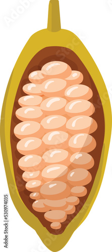 Raw cacao fruit icon cartoon vector. Chocolate plant. Tree powder