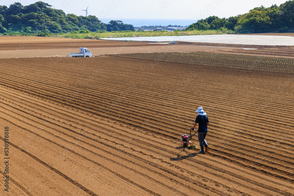 夏の終りに小さな耕運機で広い畑を耕す農夫 Stock Photo | Adobe Stock